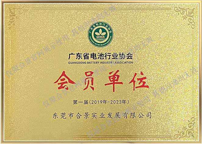 廣東電池行業(yè)協會會員單位